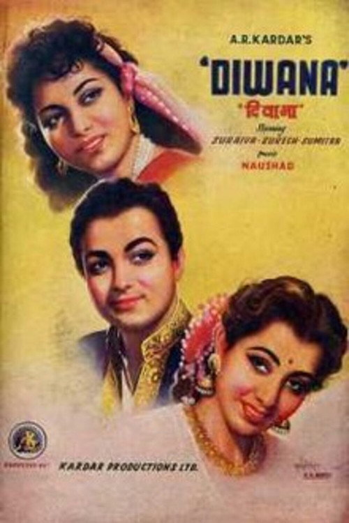 Deewana poster