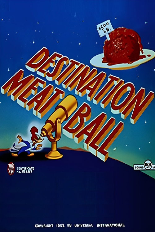Destination Meatball poster
