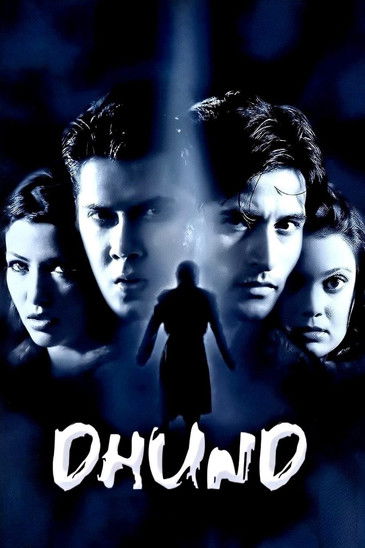 Dhund poster