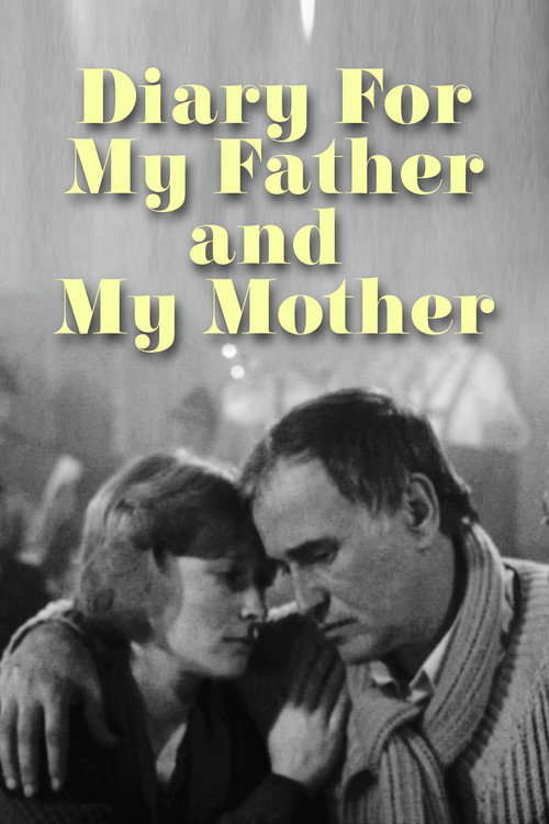 Diary for My Father and Mother poster