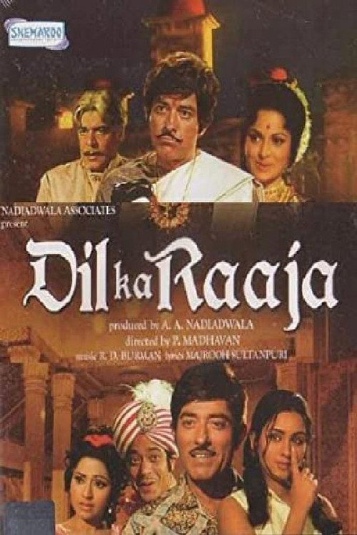 Dil Ka Raja poster
