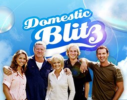 Domestic Blitz poster