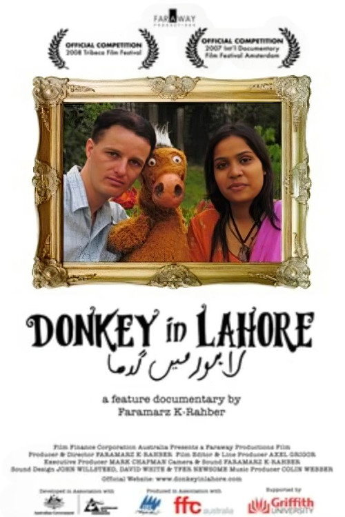 Donkey in Lahore poster