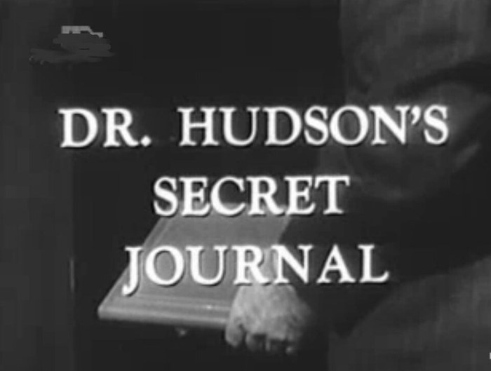 Dr. Hudson's Secret Journal poster