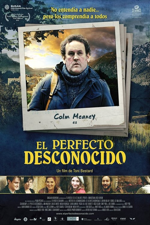 El Perfecto Desconocido poster