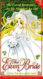 Elven Bride poster