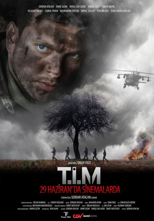 Tim poster