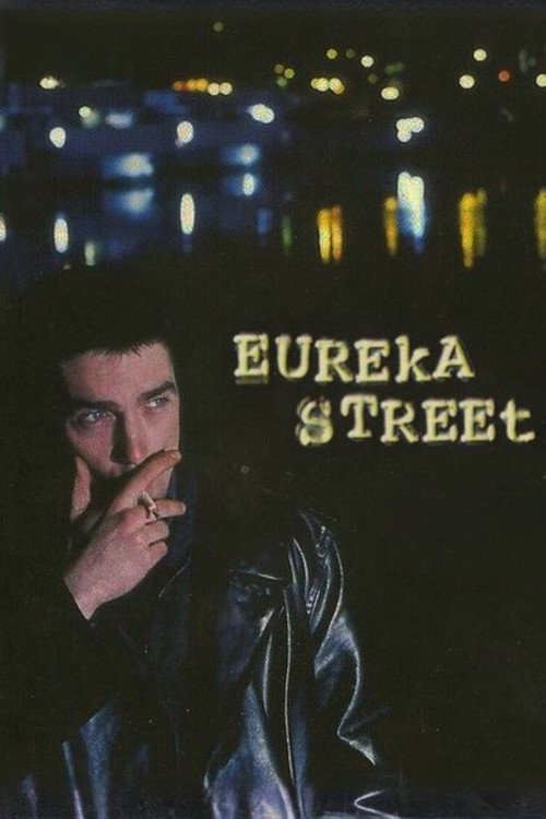 Eureka Street poster