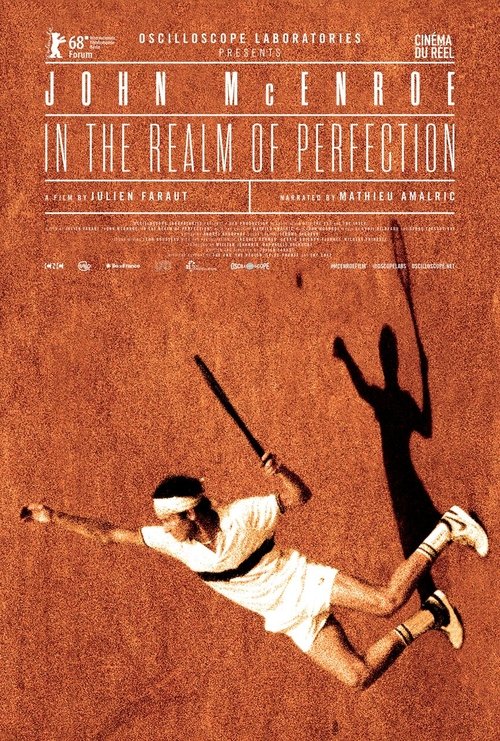 In the Realm of Perfection poster