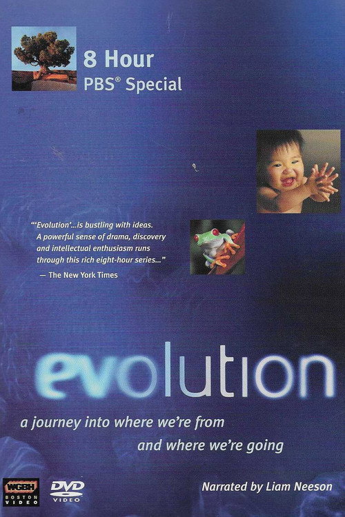 Evolution poster