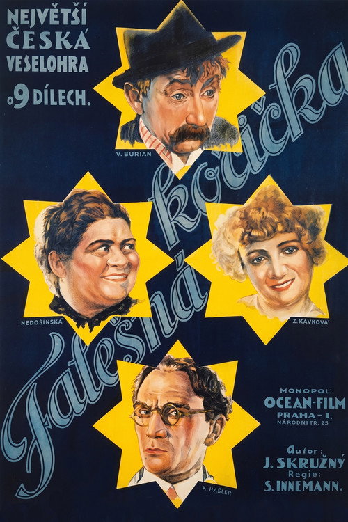 Falešná kočička poster