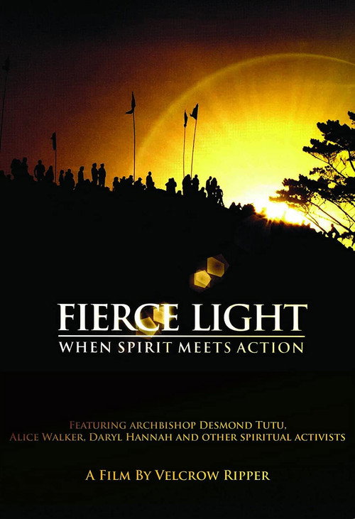 Fierce Light poster