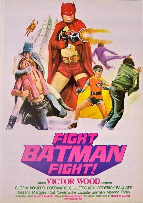 Fight Batman Fight! poster