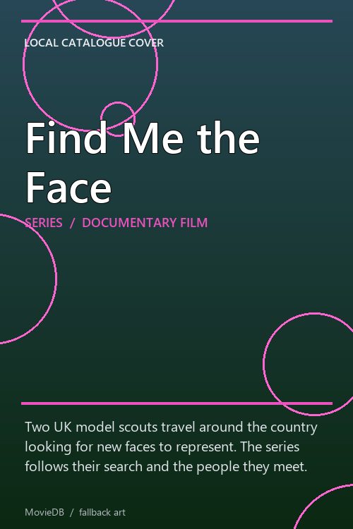 Find Me the Face poster