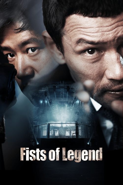 Fist of Legend poster