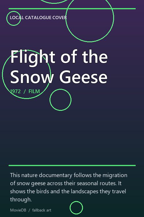 Flight of the Snow Geese poster