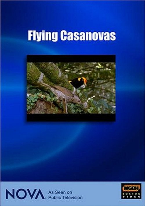 Flying Casanovas poster