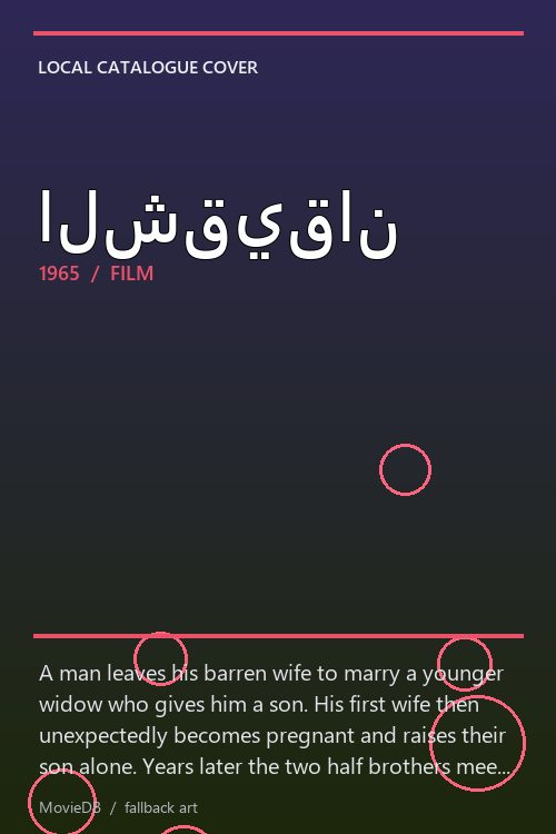 الشقيقان poster