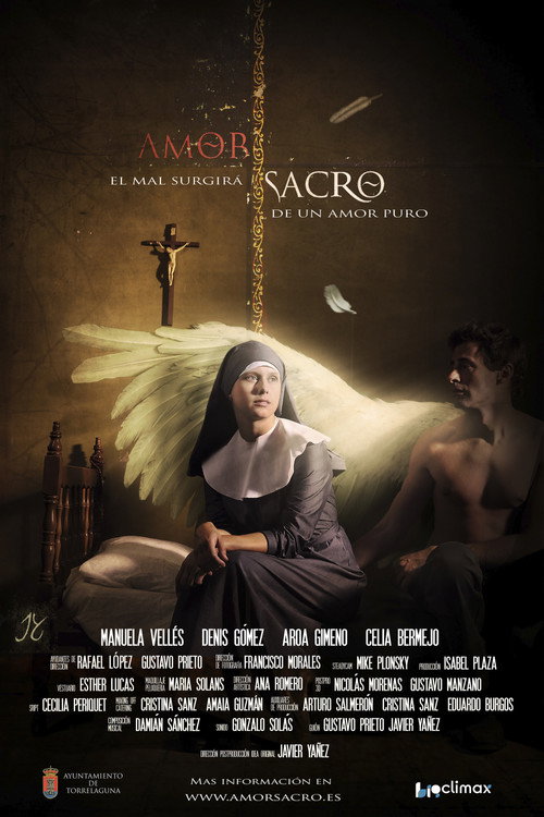 Holy Love poster