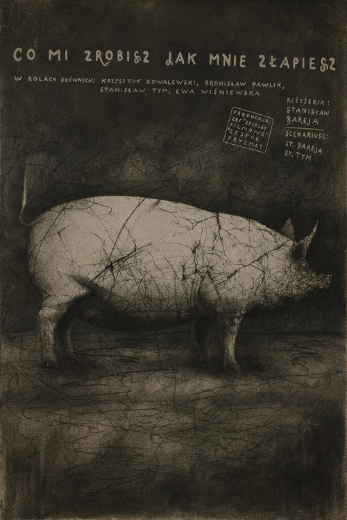 What Will You Do When You Catch Me? poster