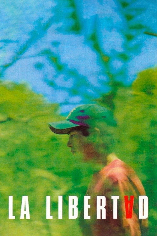Freedom poster