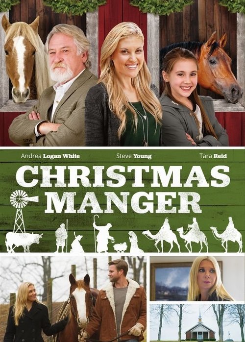 Bethlehem Ranch poster