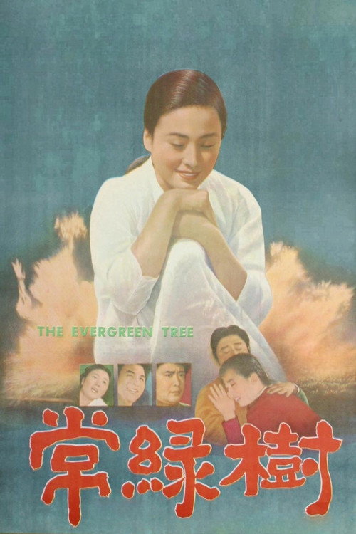 Evergreen Tree poster