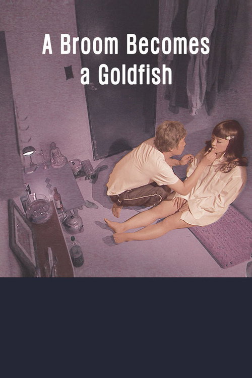 A Broom Becomes A Goldfish poster