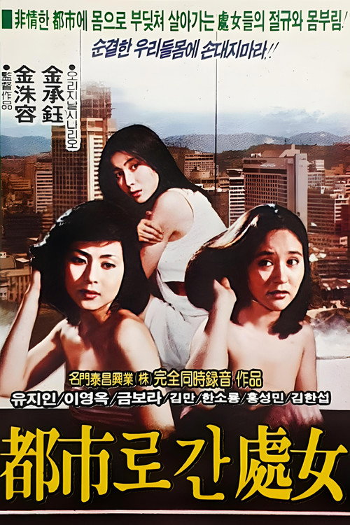 The Maiden Who Went to the City poster