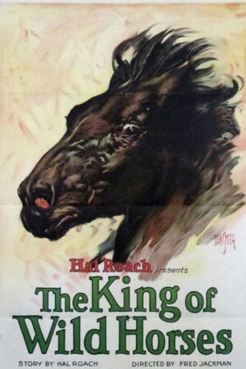 The King of Wild Horses poster