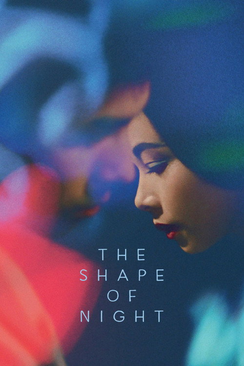 Shape of Night poster