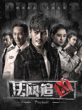 Pursuit poster