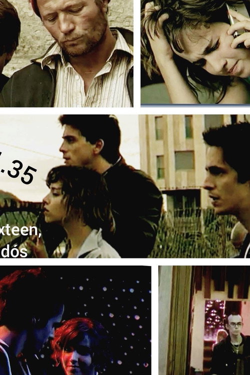 Sweet Sixteen, a hazudós poster