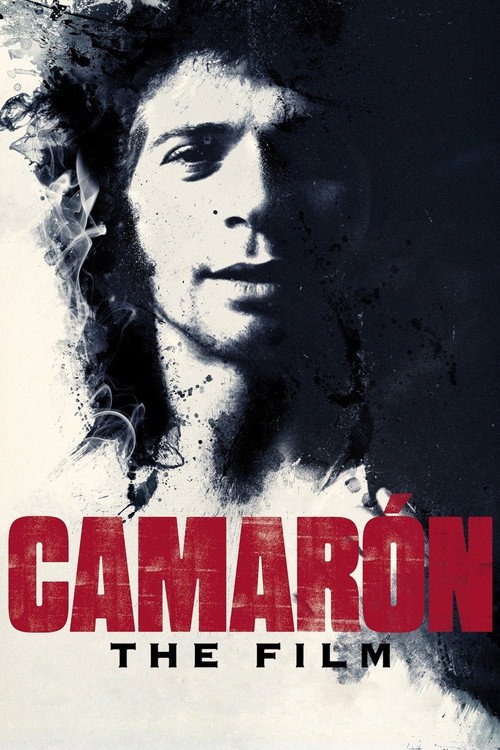 Camarón: Flamenco y Revolución poster