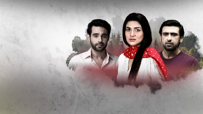 Anaya Tumhari Hui poster