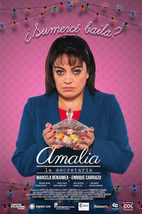 Amalia the Secretary poster