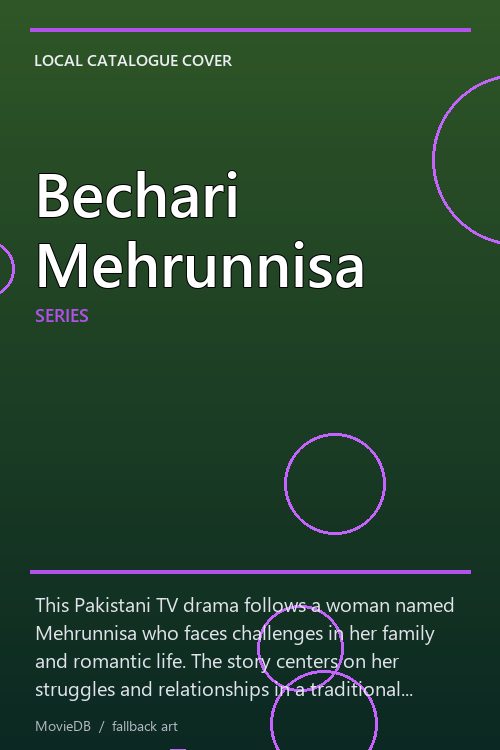 Bechari Mehrunnisa poster