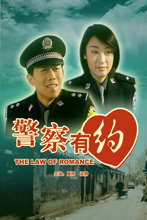 The Law Of Romance poster
