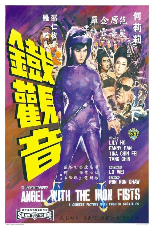 Angel with the Iron Fists poster