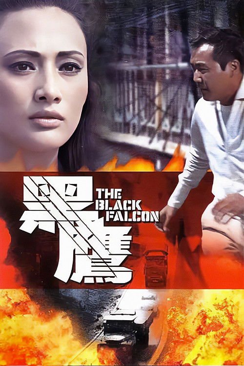 The Black Falcon poster