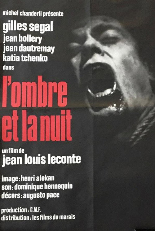 L' Ombre et la nuit poster