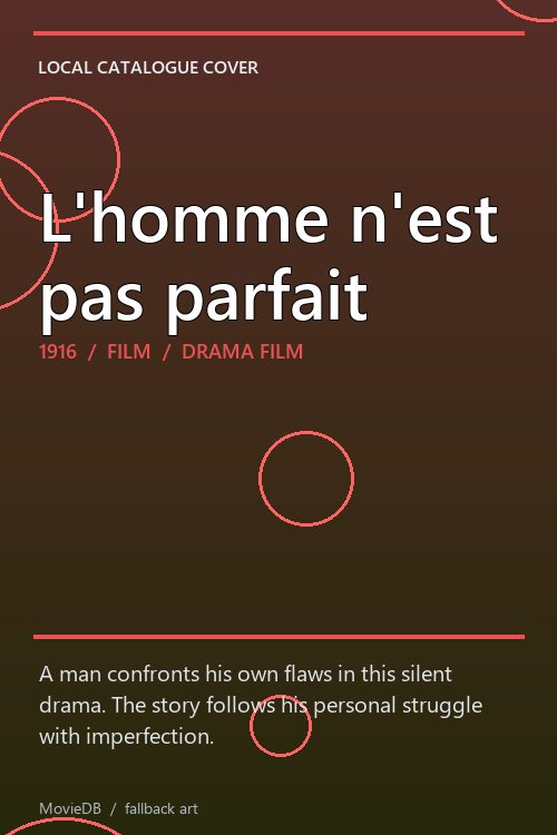 L'homme n'est pas parfait poster