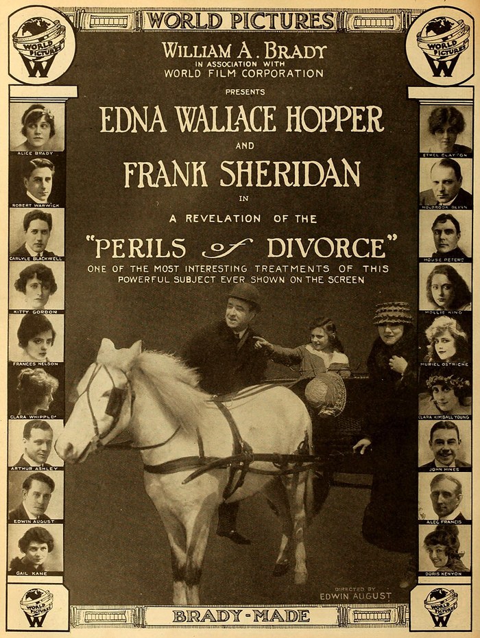 The Perils of Divorce poster