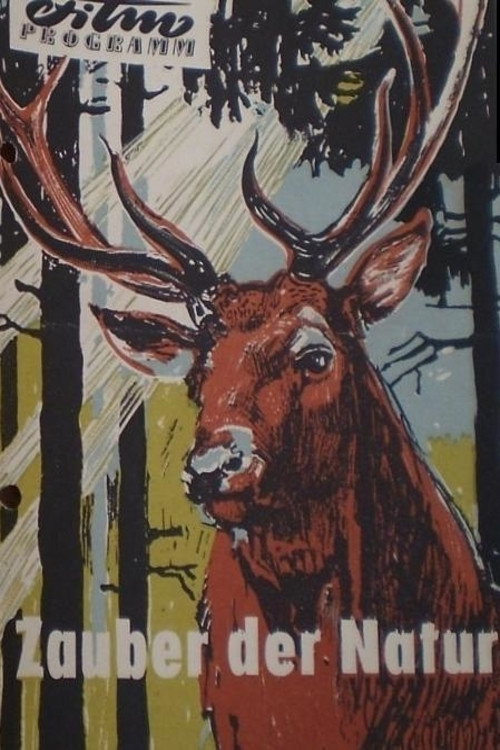 Zauber der Natur poster