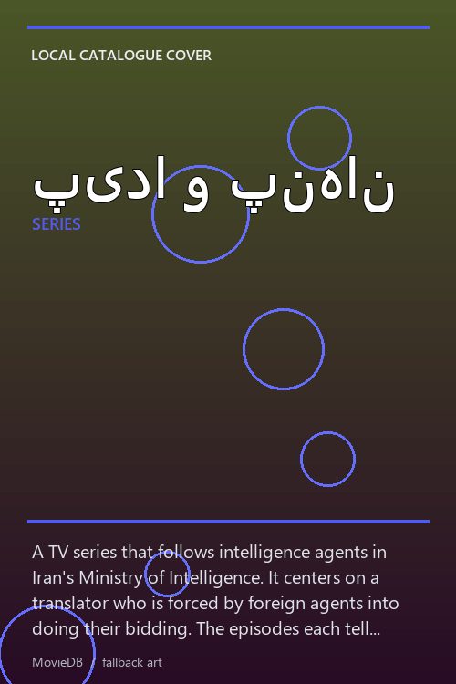 پیدا و پنهان poster