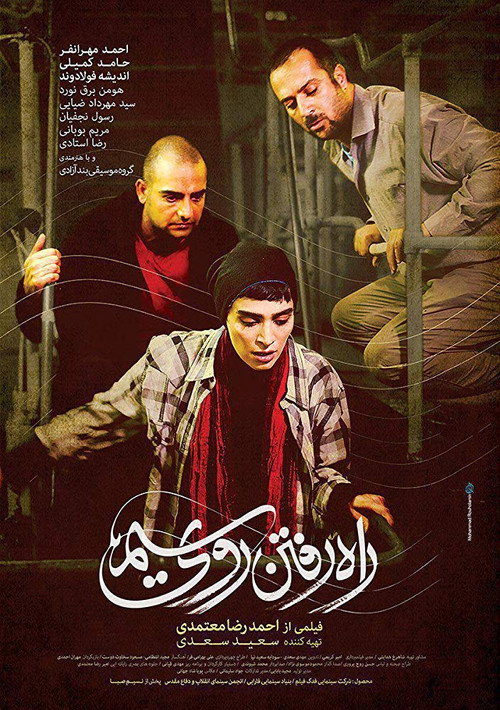 Walking On Wire poster