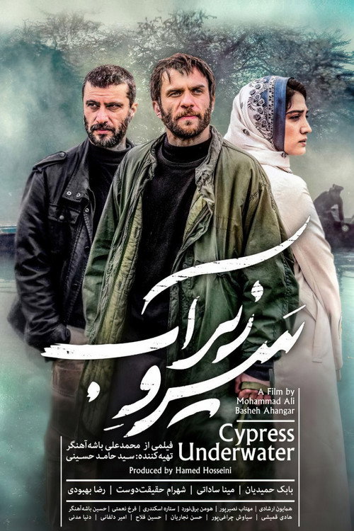 The Under Water Cypress poster