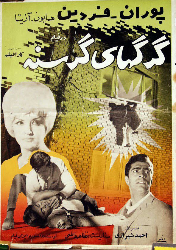 گرگهای گرسنه poster