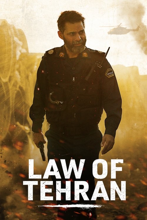 Just 6.5 poster
