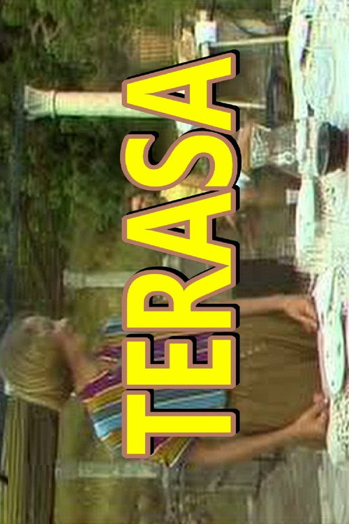 The Terrace poster